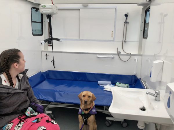 A fox red assistance dog sitting inside a Mobiloo van, next to a blue waterproof changing table and portable hoist.