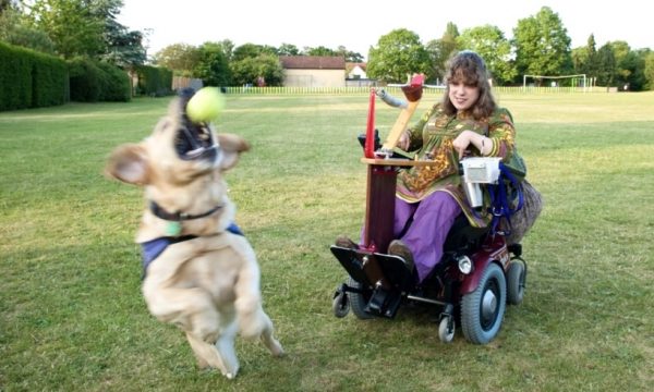 A sprung attachment to a lady’s wheelchair that enables her to propel tennis balls for her dog to chase and retrieve when they’re out for a walk.