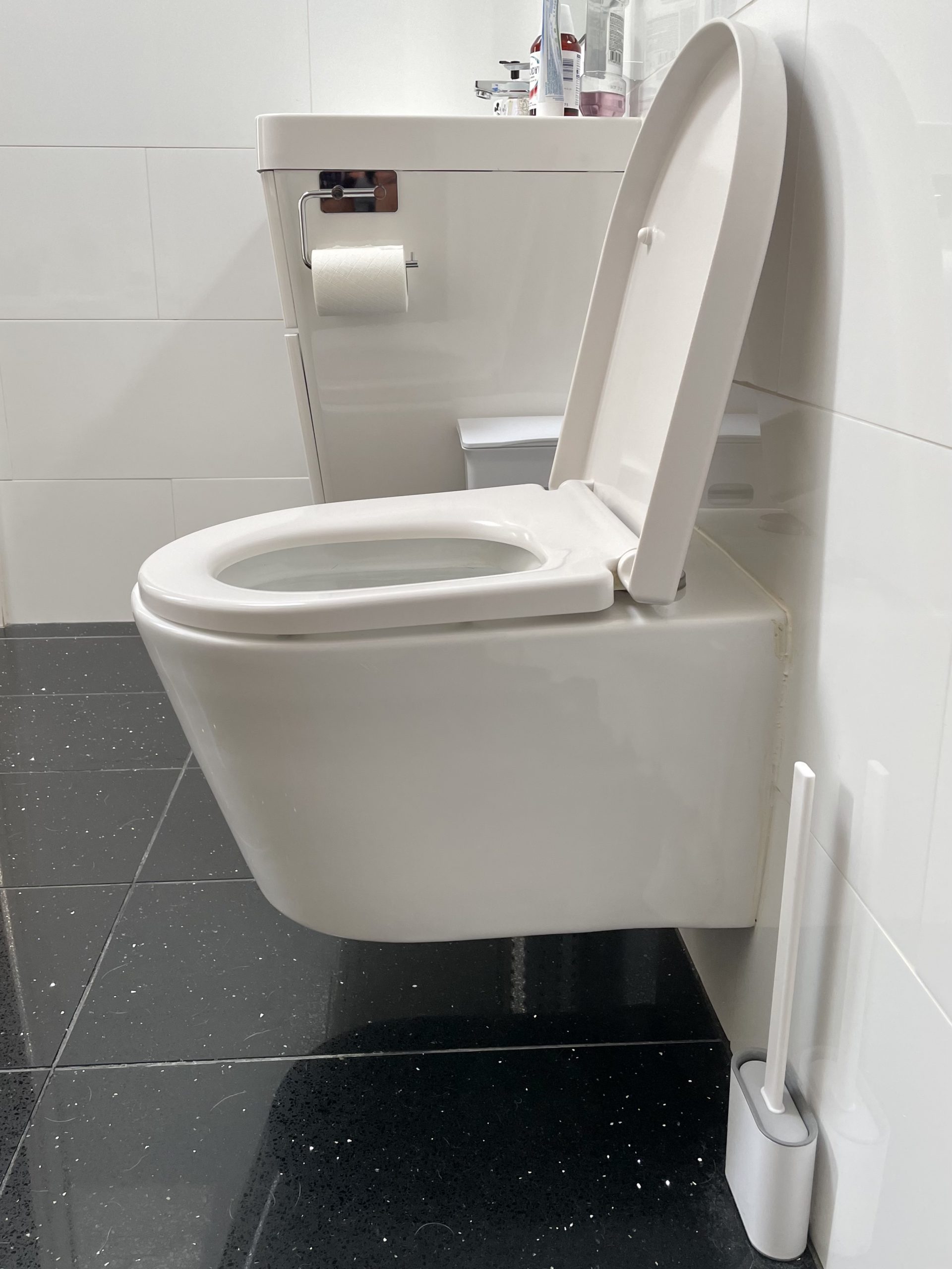 Comfort Height Toilet – Bathroom Equipment