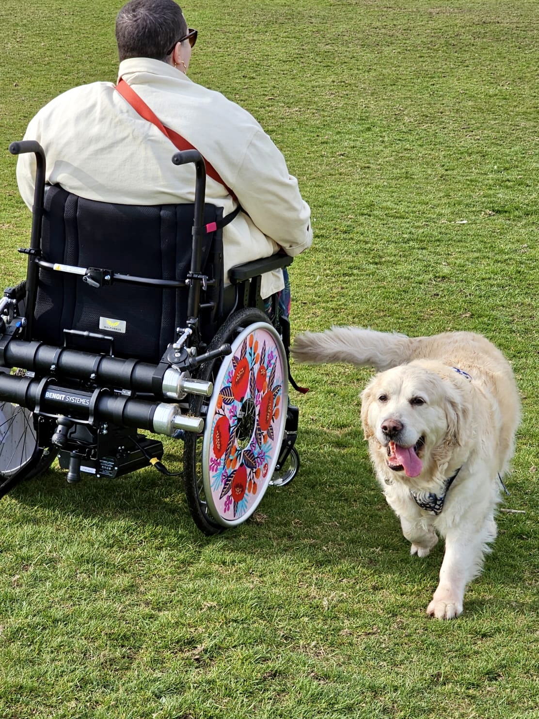 Benoit Systemes Light Drive Plus 2.1 – Wheelchair Attachment